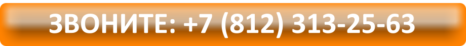 �������: +7 (812) 313-25-63